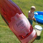 Jairo - Rose