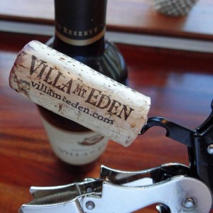 VillaEden3