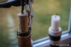 IMG_1293